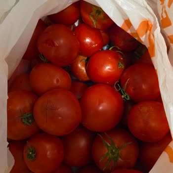 Migros Bozulmuş Domates ve Biber İçin Tam İade Talebi