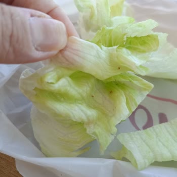 Böcekli Çiğköfte Ve Hijyen İhmali Sağlık Tehlikesi