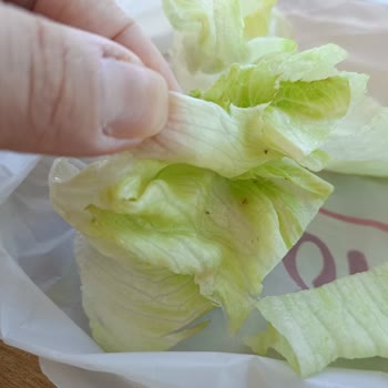 Böcekli Çiğköfte Ve Hijyen İhmali Sağlık Tehlikesi