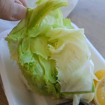 Böcekli Çiğköfte Ve Hijyen İhmali Sağlık Tehlikesi