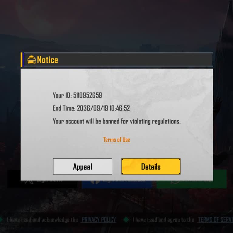 Unban My Battleground Mobile India Account