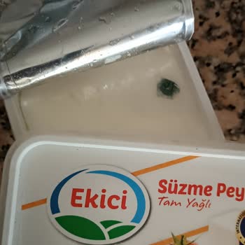 Tarih Geçmemiş Süzme Peynirinde Küflenme Görülmesi Sağlık Korkusu Ve Güven Kaybı