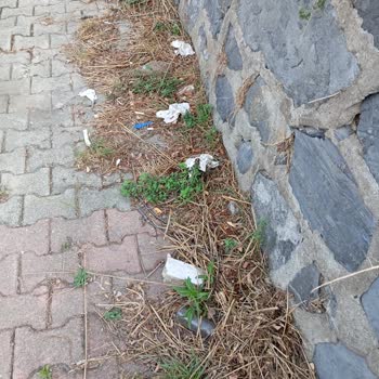 Gülibrişim Sokak'ta Çöp Konteyneri Çevresinde Sürekli Kirlilik Ve Yetersiz Temizlik