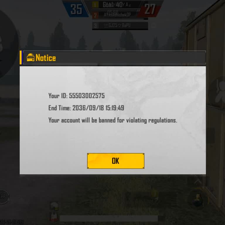 BGMI Account 10 Year Ban