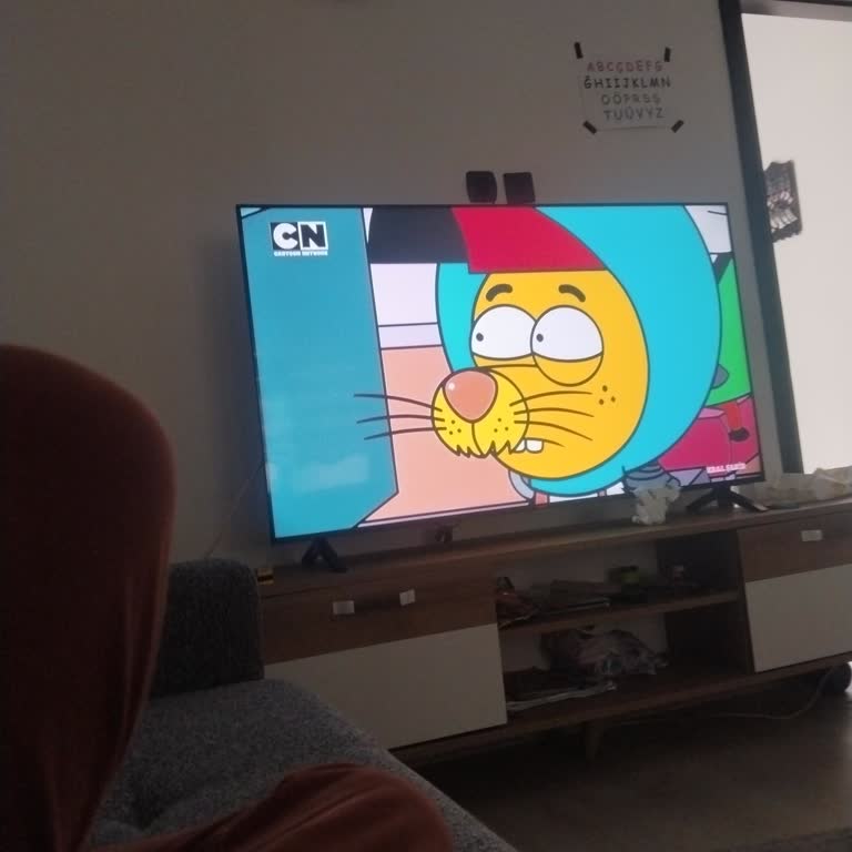 Cartoon Network’te Kral Şakir Bölümlerinin Tekrarlaması Çocukları Yorar