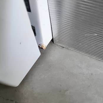 Arçelik Bulaşık Makinesinde Sürekli Pervane Çarpması Ve Paslanma Sorunu Ürün Değişimi Talebi