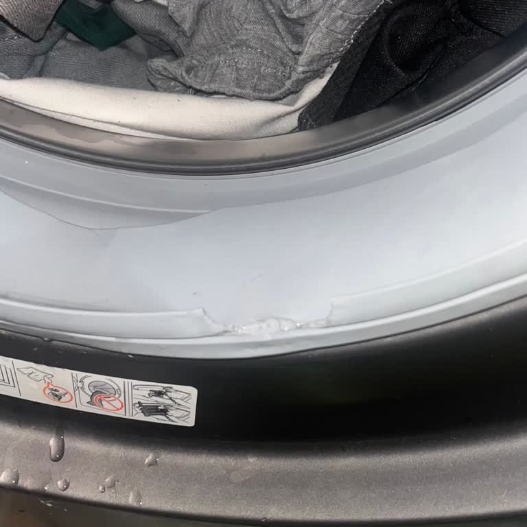 Samsung Çamaşır Makinesinde Garantisiz Körük Lastiği Arızası Ve 5.000 TL Maddi Kayıp