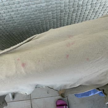 Evonox Pembe Çamaşır Parfümü Tişörtümde Kalıcı Pembe Lekeler Bıraktı