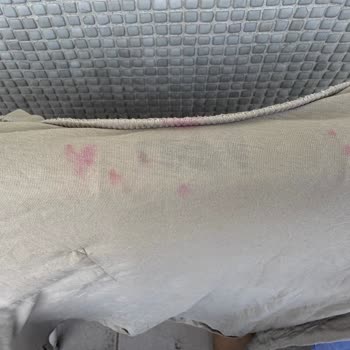 Evonox Pembe Çamaşır Parfümü Tişörtümde Kalıcı Pembe Lekeler Bıraktı