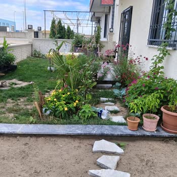 Satın Aldığım Evde İnşaat Kusurları Ve Satıcıdan Yanıtsızlık