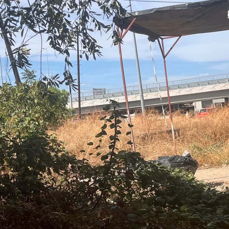 Konyaaltı Belediyesi Kuru Ot Temizliğini İhmal Ediyor, Yangın Riski Artıyor