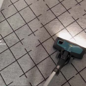 Philips Süpürge Kendi Kendisine Duruyor Çalışmıyor
