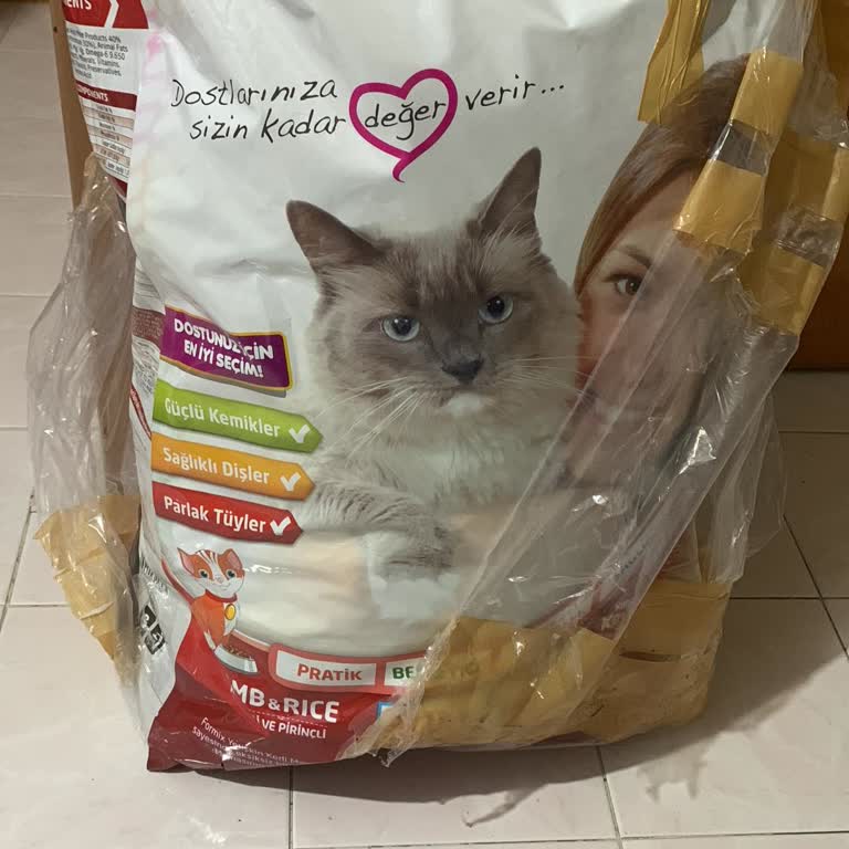 Yanlış Ve Eksik Kedi Maması Gönderildi, İade Talebim Çözülmedi