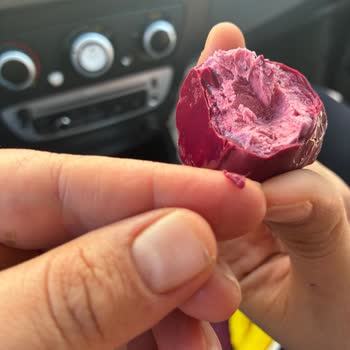 A101 Sambella'dan Kıl Çıktı