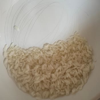 Yayla Gönen Baldo Pirincinde Yarı Lapa Ve Ürün Değişimi Talebi