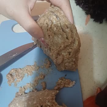 A101 Köfteler Birbirine Yapıştı Ambalaj Ve Ayırıcı Eksikliği Nedeniyle Kullanılamaz Ürün