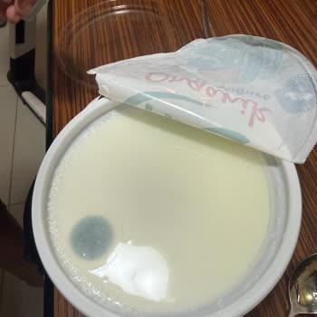 Carrefour SA Mavi Küflü Organik Yoğurt: Son Kullanma Tarihi İçinde Sağlık Endişesi