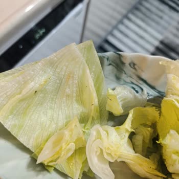 Pan Çiğ Köfte Marulun İçinden Böcek Çıkması
