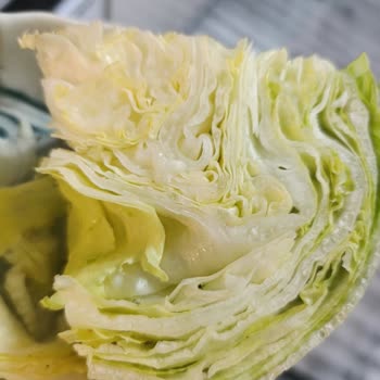 Pan Çiğ Köfte Marulun İçinden Böcek Çıkması
