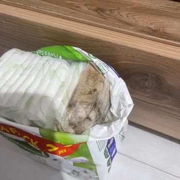 Molped Hijyenik Pedde Küflenmiş Ürün Şikayeti