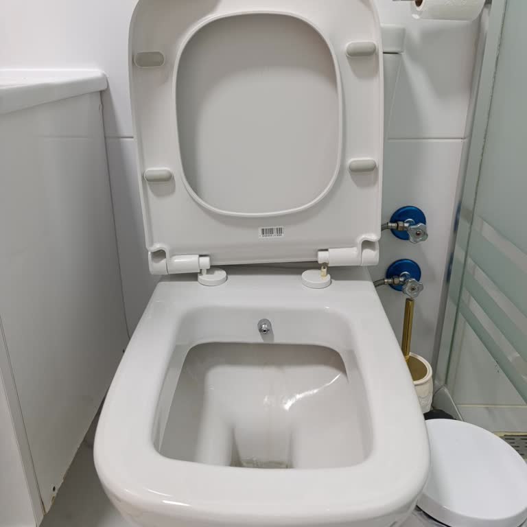 Vitra Klozet Kapağının Menteşesi Erken Kırıldı, Yedek Parça Bulunamıyor