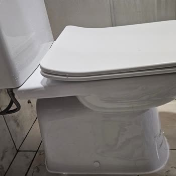 Turkuaz Seramik Klozet Kapağı Menteşi İçin Yardım Talebi