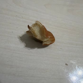 BİM Kayaşehir Şubesinde Simbat Kuruyemişte Kurt Tespit Edildi