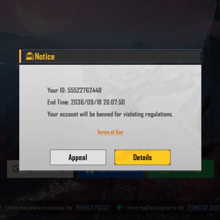Battlegrounds Mobile India Account Got Banned