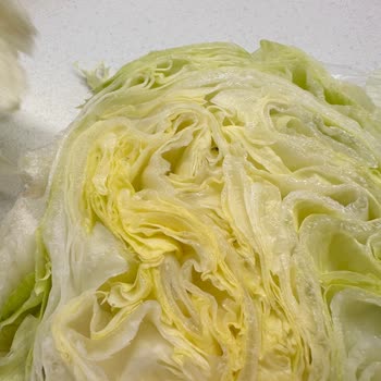 Markette Marulda Canlı Böcekler Görülmesi