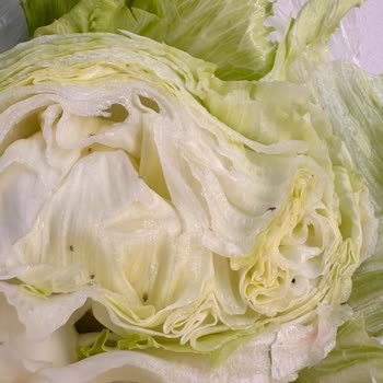 Markette Marulda Canlı Böcekler Görülmesi