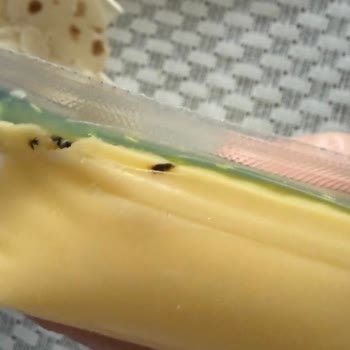 Kastamonu Özkuruşlar Markette Muratbey Kaşarında Siyah Parçalar Gıda Güvenliği Endişesi