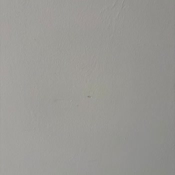 Garanti Kapsamındaki Ücret Talebi Ve Şiddetli Servis Personelinin Saldırısı