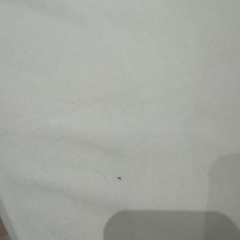 Hijyen Sorunu Yaşanan Oda İçin Ücret İadesi Ve Sorumluluk Reddi