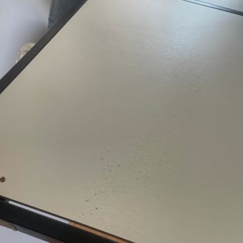 Ortopedik Yatak Ve Mobilyalarda Kalite Sorunları, Sağlık Şikayetleri Ve Ayıplı Ürün
