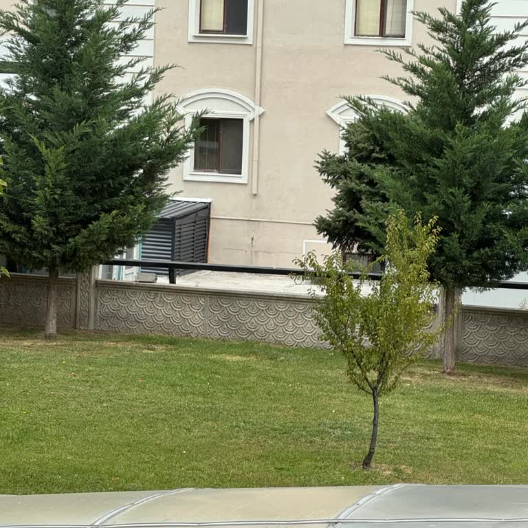 Medical Palace Morg Çıkış Alanı