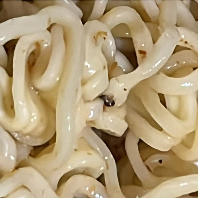 Kayseri'de Satın Alınan Noodle Paketi İçinde Böcek Tespit Edildi