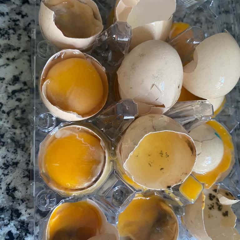 Bozuk Organik Yumurta Teslimatı Ve Tam İade Talebi