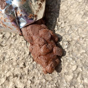 Şekli Bozulmuş Ve Kokusuz Eti Canga Cookie Şikayeti