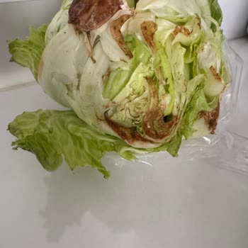 Migros Sanal Market'te Taze Olmayan Atom Salata Ve Domatesler İçin Ücret İadesi Talebi