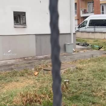 BinBin Bunu Yapana Ceza Verin