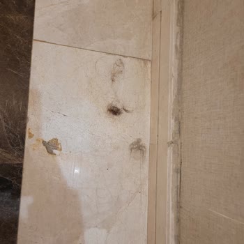 Otel Hijyeni Ve Yemek Kalitesinde Ciddi Eksiklik