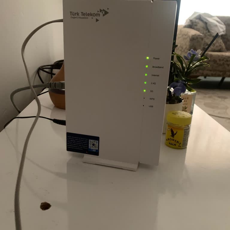 İnternet Bağlantısında Sürekli Kesinti Ve Teknik Destek Yokluğu