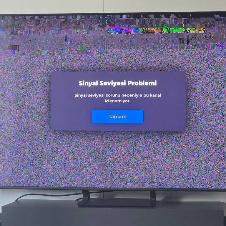 İki Gün Süren İnternet Ve Kablo TV Kesintisi İçin Acil Çözüm Ve Ücret İadesi Talebi