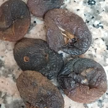 A101 Mağazasından Çerezya Gün Kurusu Kayısısında Canlı Kurt Ve Sağlık Sorunu