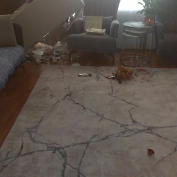 Bellona’da Hatalı Montajla Devrilen Vitrin Ve Kırılan Eşyalar