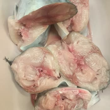 Migros Datça’da Satın Alınan Palamut Balığı Bayat Çıktı, İade Talebi