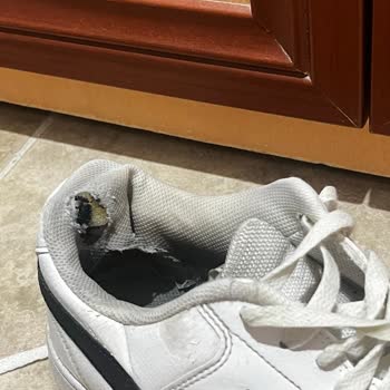 Nike Ayakkabısında Deri Soyulması Ve Topuk Yırtılması, 11,5 Ayda Garanti Talebi