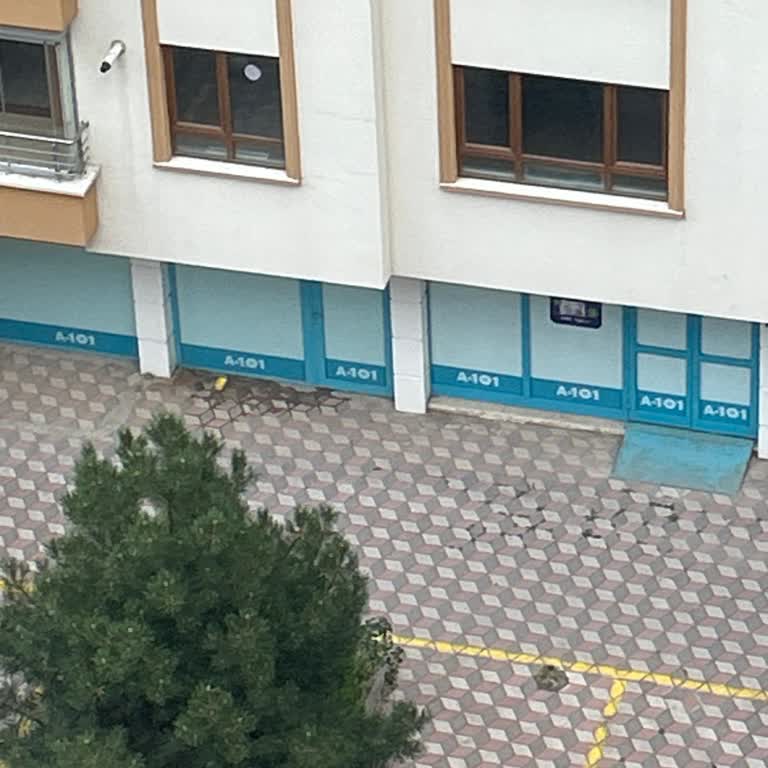 A101 Şubesinde Sokak Hayvanı Maması Atılması Ve Dışlayıcı Tavır