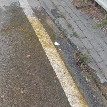 Bursa Nilüfer Ataevler Mahallesinde Su Kaçağı Ve Kaygan Yol Riski