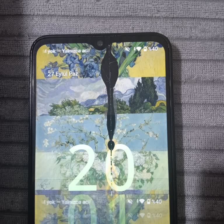 Düşürülmemiş Telefon Ekranında Renk Kaybı Ve Piksel Bozulması Değişim İsteği
